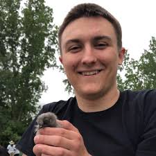 1977 Dodge B100 318 engine mods?