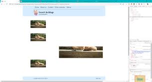 A Image Disappears Under A Div ç³¯ç±³php These are the possible values for this property (besides the usual stuff like inherit ):