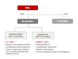 Nhl is not a single disease but rather a group of several closely related cancers. Non Hodgkin S Lymphoma Nhl Nordicnanovector
