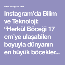 Instagram Da Bilim Ve Teknoloji Herkul Bocegi 17 Cm Ye Ulasabilen Boyuyla Dunyanin En Buyuk Boceklerinden Biri Bunun Yani Sira Kendi Agir In 2020 Mobile Boarding Pass