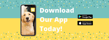 Demanuelle is towards our chocolate lab, muddie. Lake Olympia Animal Hospital Home Facebook