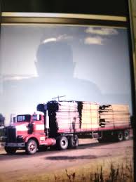 Image result for Irish White 1980 Kwikasair