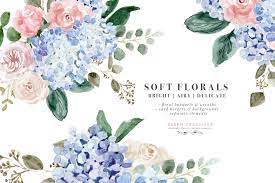 Watercolor Hydrangea Roses Clipart Watercolor Hydrangea Watercolor Flower Illustration Flower Illustration