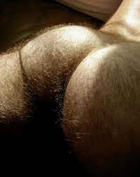 Fesses dhomme Poilus et nus - photos de filles porno
