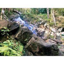 Hutan simpan kekal in english. Hutan Lipur Lenggeng Hutan Lipur Lenggeng Trail Run Facebook