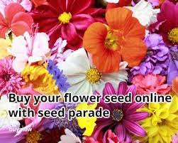 Send someone you love a truly special gift today. Buy Seeds Online From 59p Grow The Best Veg And Flowers From Seeds