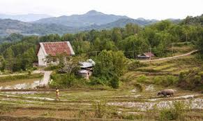 Nanggala adalah sebuah kecamatan di kabupaten toraja utara, provinsi sulawesi selatan, indonesia. 16 Agustus 2016 Syamsul Maarif Hs