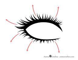 How To Draw Anime Eyelashes Step By Step - Animeoutline | Easy Eye Drawing, Eyelashes  Drawing, Realistic Eye Drawing