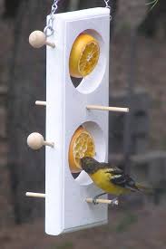 Double Fruit Suet Feeder Orioles Grosbeaks Sapsuckers Catbirds Etsy Mangeoires Pour Oiseaux Faites Maison Mangeoire Oiseau Idees Nichoir