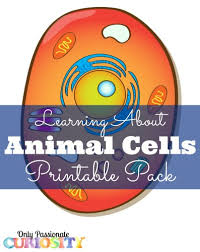 We did not find results for: How To Make A Clay Cell Model Hip Homeschool Moms