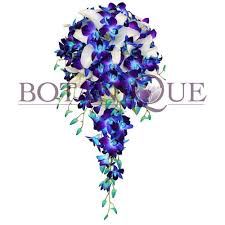 Botanique Flowers By Tina Gold Coast Australia Blue Orchid Cascade 288 95 Http Www Flowersb Cascading Wedding Bouquets Blue Wedding Bouquet Blue Orchids