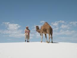 White sands is among the greatest camps i've ever done and that whole old missile \ nuclear testing region in general is a trip. White Sands National Monument White Gypsum Sands And Matilda The Camel Hubpages