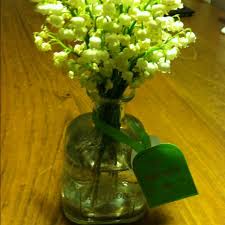 Patron Bottle Perfect Vase For Lily Of The Valley Patron Bottle Vase Diy Gifts