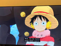 Discovering Haki In One Piece: When Does Luffy Learn It And In Which Episode?  - Newsnow Nigeria