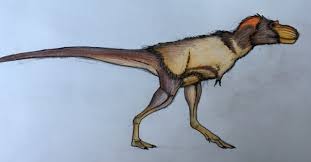 Where did this scary dinosaur come from? A Dinosaur A Day Albertosaurus Sarcophagus