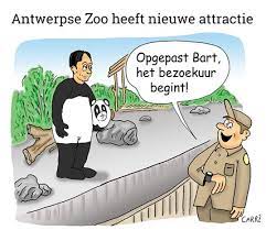 Bart de wever doet de baby shark. Panda Bart De Wever Carre Cartoons