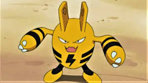 Although zangoose cannot learn the tm cut. Qbjsb4eeih Btm