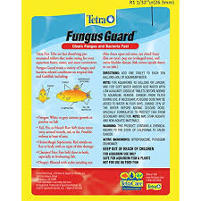 Tetra 77345 Fungus Guard Tablets 8 Count Amazon In Pet Supplies