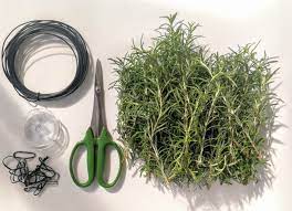 ハーブリースを手作りで ローズマリーリースの作り方 農業 ガーデニング 園芸 家庭菜園マガジン agri pick ハーブ ローズマリー 室内で育てるハーブ