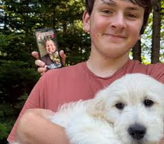 Acadia Goldendoodles