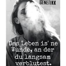 Pin Von Lisa Steffen Auf Genetikk Zitate Neue Zitate Lied Zitate