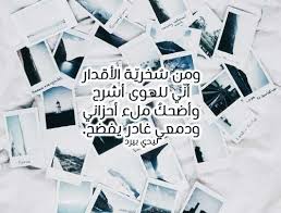 ابيات شعر فصيح حزين ليدي بيرد