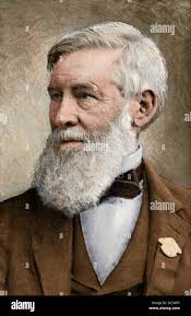 Asa gray hi-res stock photography and images