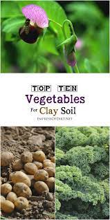 10 Best Vegetables For Clay Soils Empress Of Dirt Clay Soil Planting In Clay Clay Soil Plants