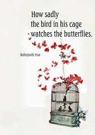 How Sadly The Bird In His Cage Watches The Butterflies Kobayashi Issa Poem Haiku Japanese Poetry Source Of Haiku Poems Japanese Poetry Japanese Haiku