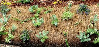 Hier verhindert die kokosmatte unter anderem ein unerwünschtes abrutschen des bodens. Boschungsmatte Aus Jute Oder Kokos Fur Den Eigenen Garten Aquagart