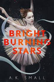 Bright Burning Stars: 9781616208783: Small, A.K.: Books - Amazon.com