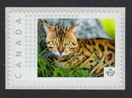 Buy and sell bengal to buy on animals sale page: Lq Bengal Cat In Grass Picture Postage Stamp Mnh Canada 2015 P15 11pc3 3 Ebay