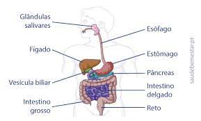 A pancreatite é uma doença caracterizada por uma inflamação do pâncreas, que ocorre quando as o número de casos de pancreatite crónica tem aumentado de modo muito significativo nos últimos. Pancreatite O Que E Causas Sintomas Tratamento Cura