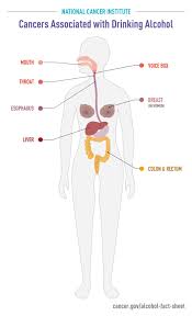 On a basic level, prostate cancer is caused by changes in the dna of a normal prostate cell. Alcohol And Cancer Risk Fact Sheet National Cancer Institute