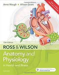 Anatomy and physiology coloring book 12th edition pdf. Download Ross And Wilson Anatomy And Physiology In Health And Illness 13th Edition Pdf Free Medical Study Zone