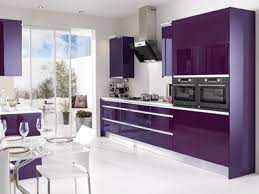 Purple Kitchen Cabinets Modern Kitchen Color Schemes Purple Kitchen Cabinets Modern Kitchen Colours Purple Kitchen