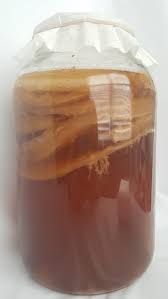 Do not add hot tea, as it will kill the good bacteria. Scoby Hotel Bucha Brewers