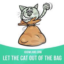 Let The Cat Out Of The Bag Means To Reveal A Secret Or A Surprise By Accident Example It S A Secret Try Not To Let English Idioms Idioms English Phrases