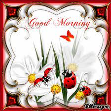 Share a gif and browse these related gif searches. Good Morning Good Morning Good Morning Ladies Morning Pictures