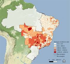 Subscribe to codify and get the code details in a flash. Association Of Past Dengue Fever Epidemics With The Risk Of Zika Microcephaly At The Population Level In Brazil Scientific Reports