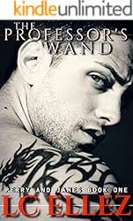 Amazon.com: The Professor's Vow: (MM Gay Marriage Romance, MM Gay Role  play, MM Kink Romance) (Perry and James Book 4) eBook : Ellez, LC: Tienda  Kindle