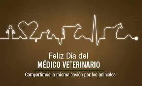 Desde aquí dejo mis saludos a todos los colegas veterinarios de argentina. Nando Moran Ø¹Ù„Ù‰ ØªÙˆÙŠØªØ± Dia Del Medico Veterinario Nuestras Felicitaciones Y Saludos A Los Colegas Del Peru Felizdiadelveterinario Peru Https T Co Vmlpvd6fuz ØªÙˆÙŠØªØ±
