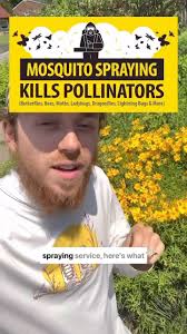 Homegrown National Park