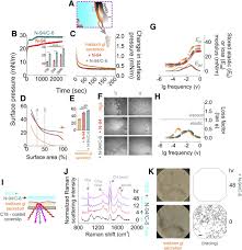 Hl tan lim & partners. Lacritin Proteoforms Prevent Tear Film Collapse And Maintain Epithelial Homeostasis Journal Of Biological Chemistry