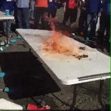 See more ideas about buffalo bills, bills, buffalo. Best Buffalo Bills Fans Gifs Gfycat