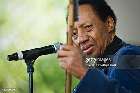 101 Timothy Arnold Stock Photos, High-Res Pictures, and Images