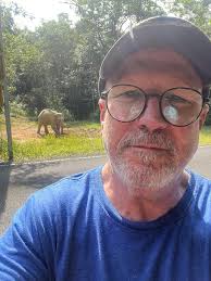 Frog or toad hibernation confusion