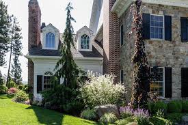 Weeping Alaskan Cedar And Weeping Purple Beech Front Yard Landscaping Design Garden Design Conifers Garden