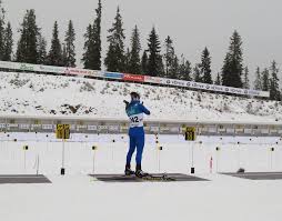 (2010), quality of prone shooting by highly skilled biathletes depending on the sequence of shots fired on the biathlon target system, omsk. Facebook