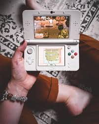 little walk in my town look at my fox hoodie partners nintendo pokemon cards nintendo ds